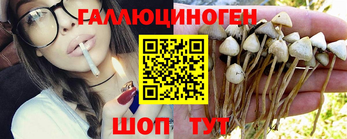 Галлюциногенные грибы MAGIC MUSHROOMS  Вход с VPN  купить наркоту  Галлюциногенные грибы мухоморы  Усолье-Сибирское 