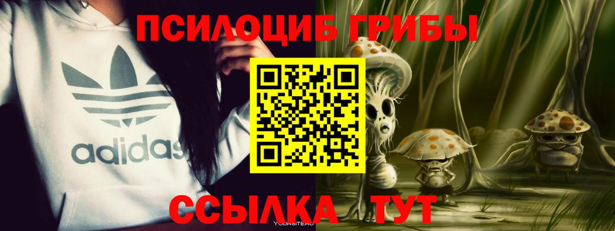 Псилоцибиновые грибы Cubensis Усолье-Сибирское